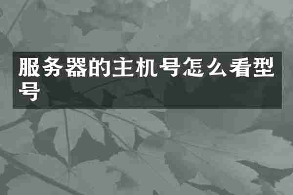服务器的主机号怎么看型号