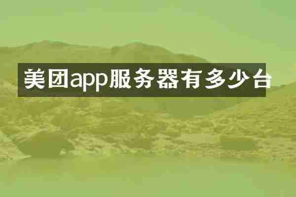 美团app服务器有多少台