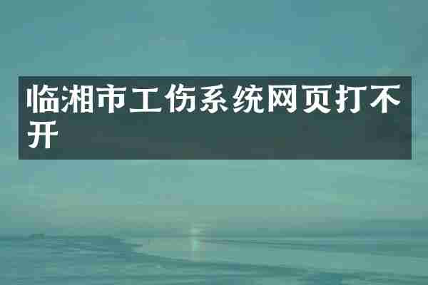临湘市工伤系统网页打不开