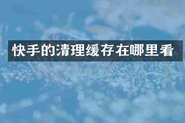 快手的清理缓存在哪里看