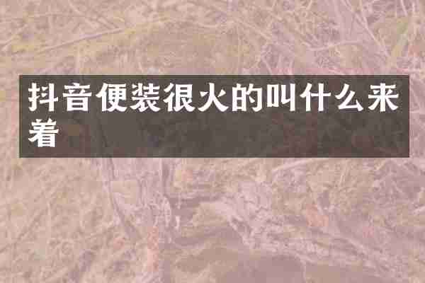 抖音便装很火的叫什么来着