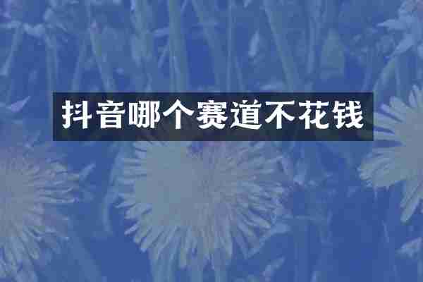 抖音哪个赛道不花钱