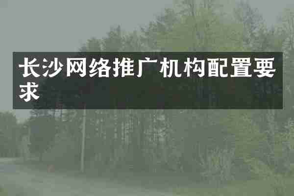 长沙网络推广机构配置要求