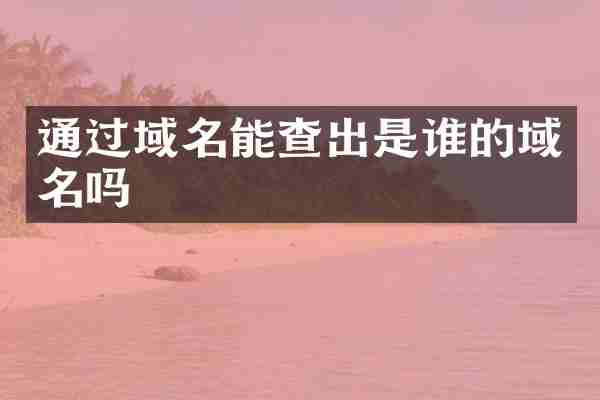 通过域名能查出是谁的域名吗
