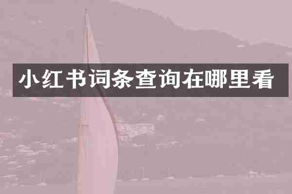 小红书词条查询在哪里看