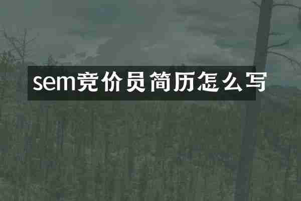 sem竞价员简历怎么写