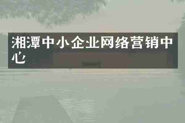 湘潭中小企业网络营销中心