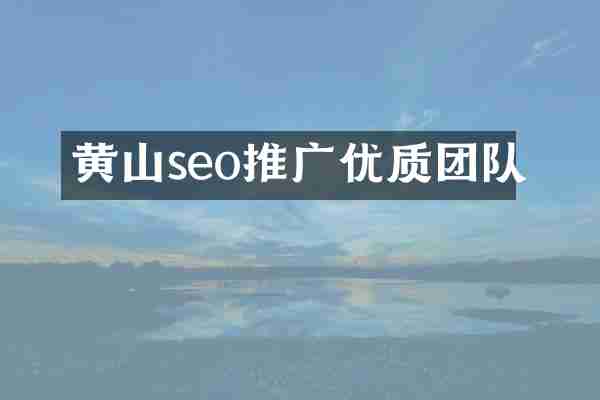 黄山seo推广优质团队