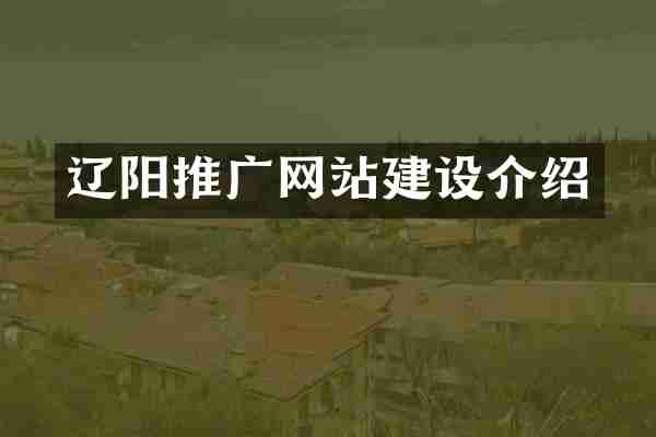 辽阳推广网站建设介绍