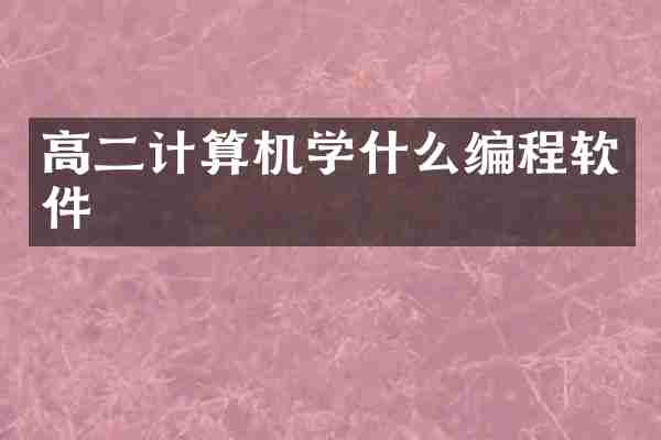 高二计算机学什么编程软件