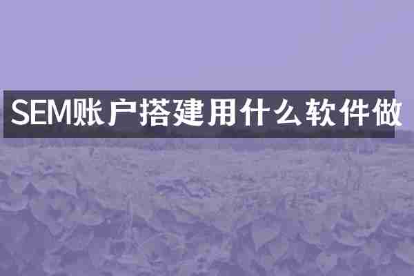 SEM账户搭建用什么软件做