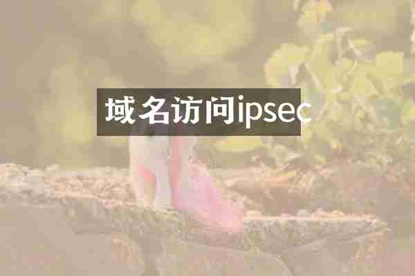 域名访问ipsec