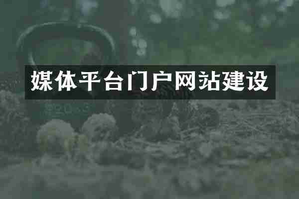 媒体平台门户网站建设