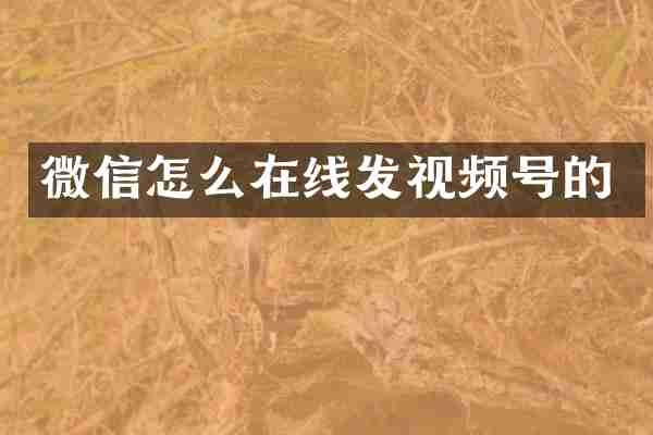 微信怎么在线发视频号的