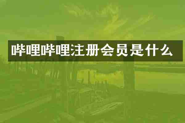 哔哩哔哩注册会员是什么