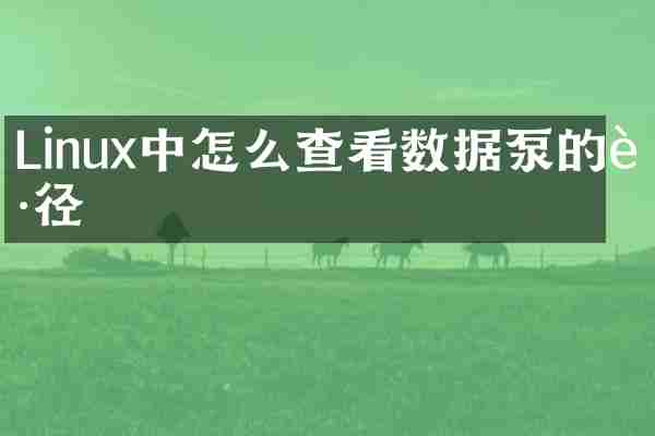 Linux中怎么查看数据泵的路径