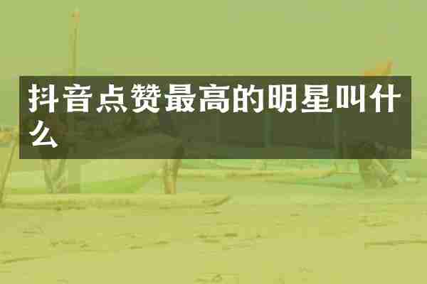 抖音点赞最高的明星叫什么