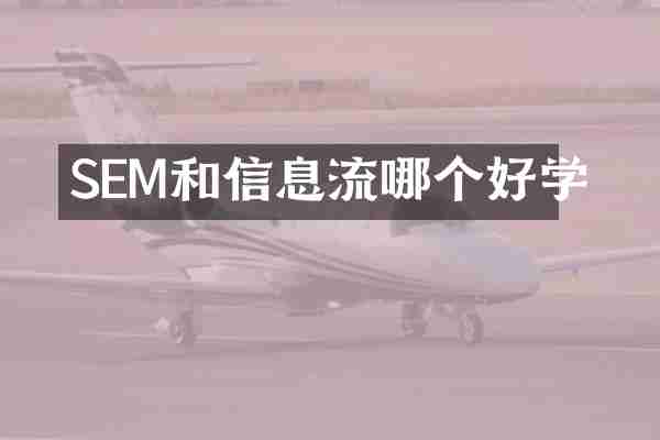 SEM和信息流哪个好学