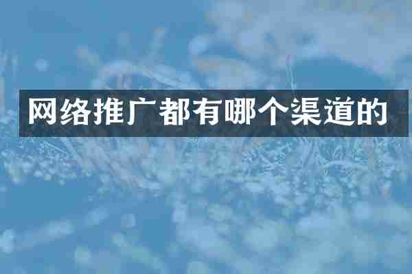 网络推广都有哪个渠道的