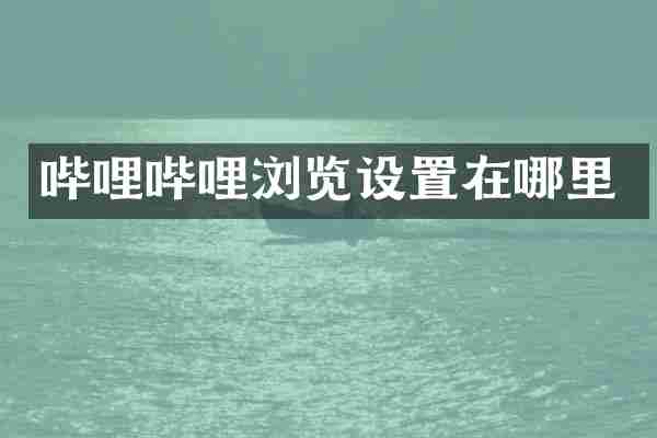 哔哩哔哩浏览设置在哪里