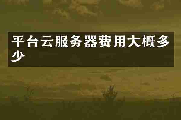 平台云服务器费用大概多少