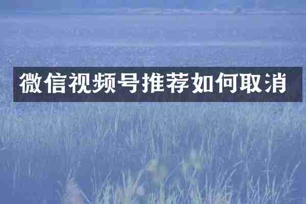 微信视频号推荐如何取消