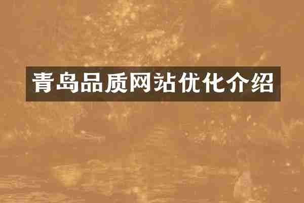 青岛品质网站优化介绍
