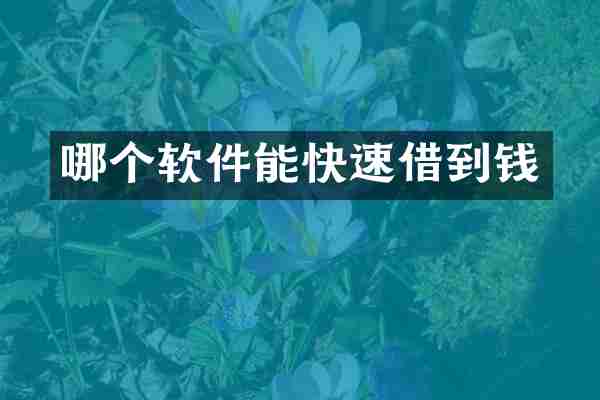哪个软件能快速借到钱