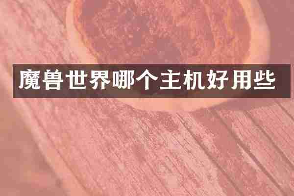 魔兽世界哪个主机好用些