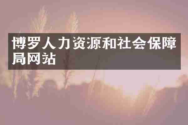 博罗人力资源和社会保障局网站