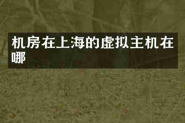 机房在上海的虚拟主机在哪