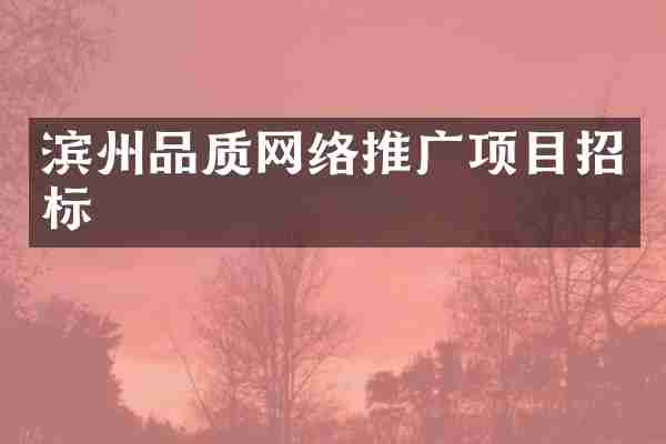 滨州品质网络推广项目招标