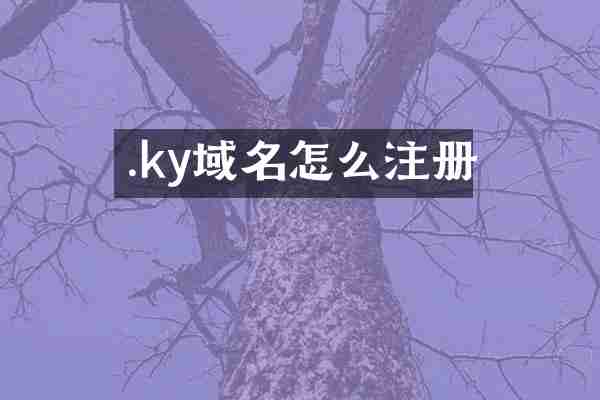 .ky域名怎么注册