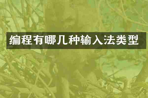 编程有哪几种输入法类型