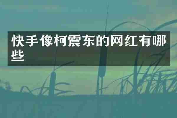 快手像柯震东的网红有哪些