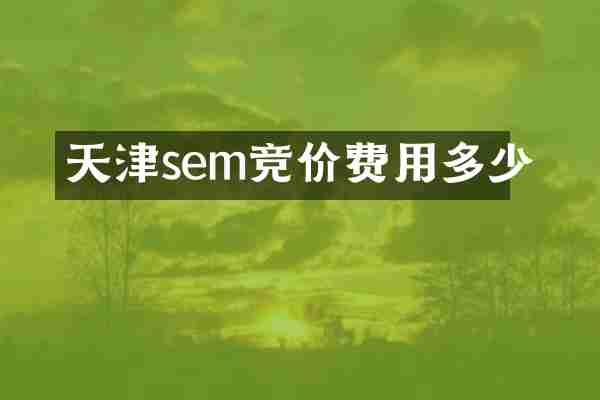 天津sem竞价费用多少