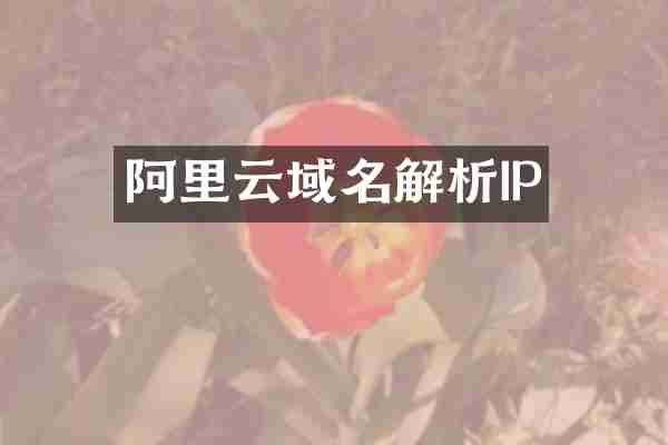 阿里云域名解析IP