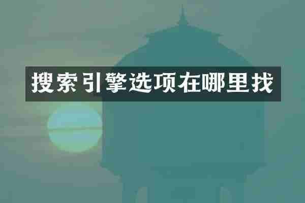 搜索引擎选项在哪里找