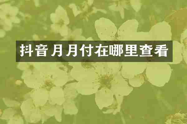 抖音月月付在哪里查看