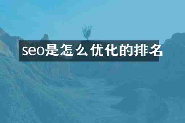 seo是怎么优化的排名