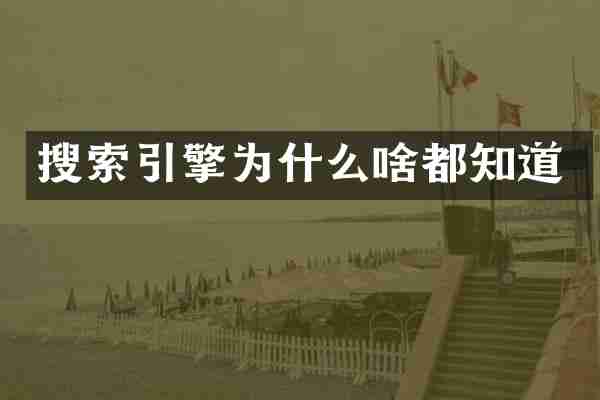 搜索引擎为什么啥都知道
