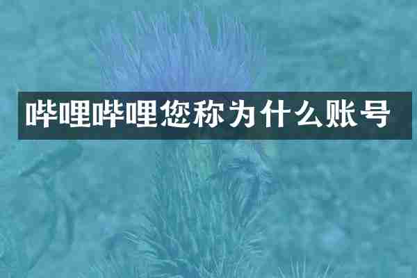 哔哩哔哩您称为什么账号