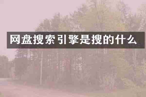 网盘搜索引擎是搜的什么