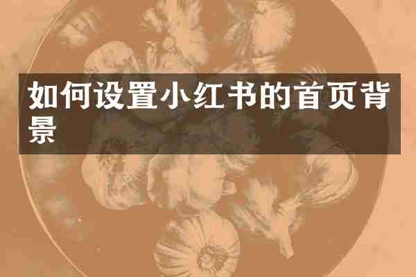 如何设置小红书的首页背景