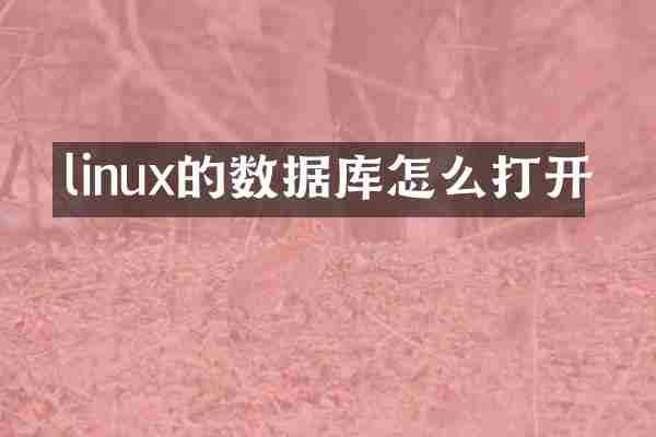 linux的数据库怎么打开