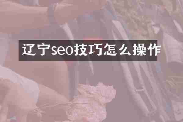 辽宁seo技巧怎么操作