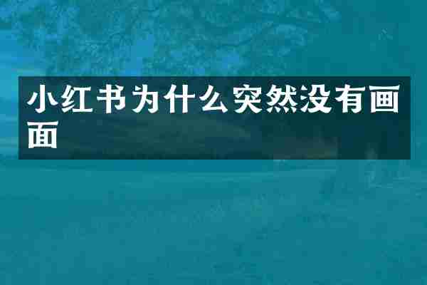 小红书为什么突然没有画面