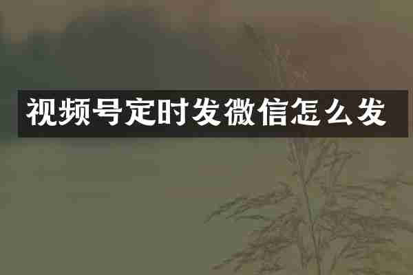 视频号定时发微信怎么发
