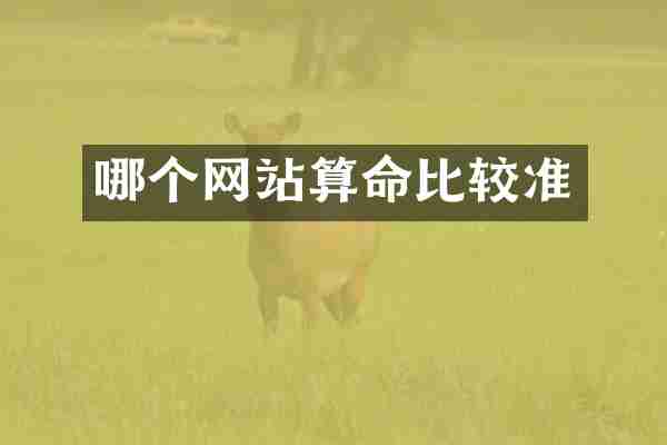 哪个网站算命比较准