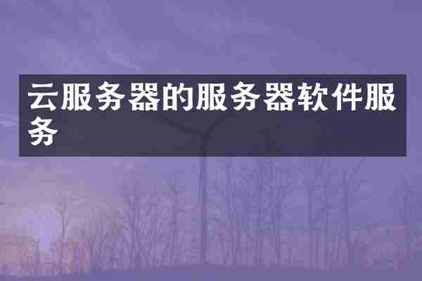 云服务器的服务器软件服务
